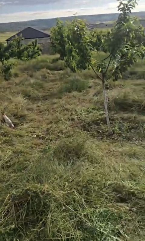 12 sot, Kənd təsərrüfatı, Barter mümkündür — Xırdalan