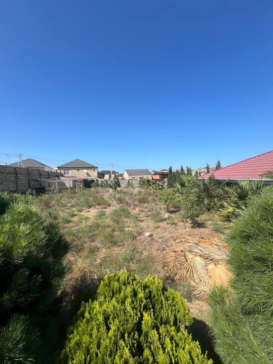Satılır torpaq 8 sot — Torpaq, Bakı (2)