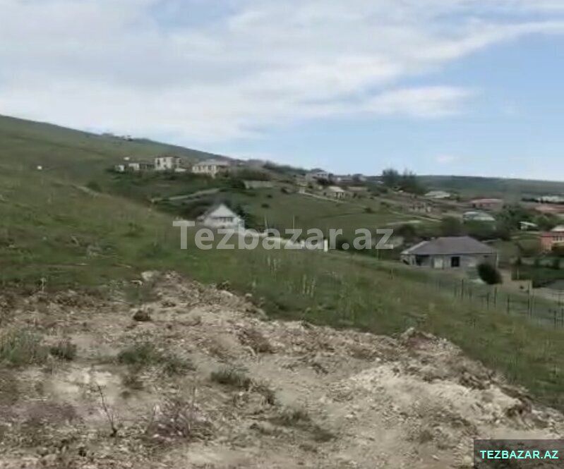 Şamaxıda Torpaq — Torpaq, Şamaxı (7)