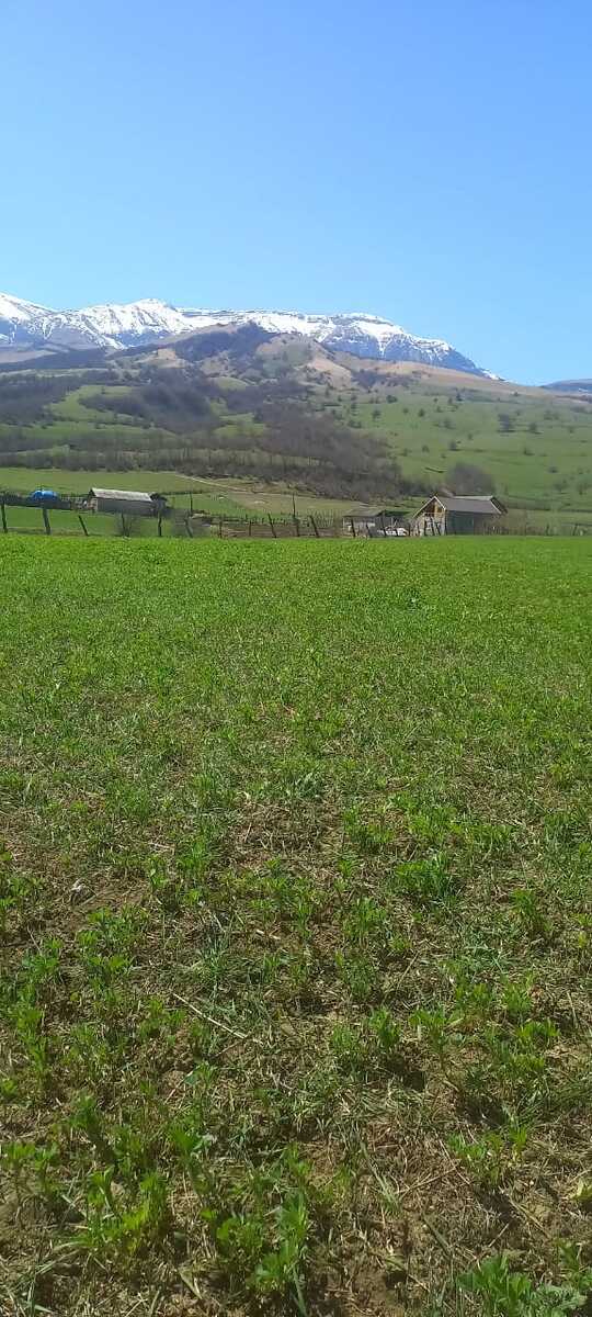 40 sot torpaq sahəsi, Qusar r — Torpaq, Qusar (8)