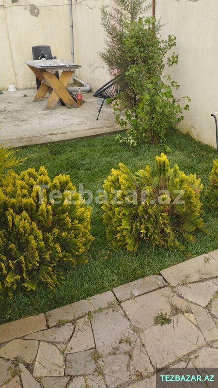 qazon sifarsi qebul olnur — Ev malları, Bakı (5)