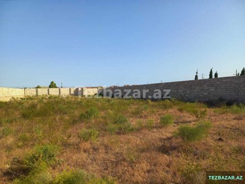 12 sot torpaq satılır, Zirə (Dəniz kənarı) — Bakı