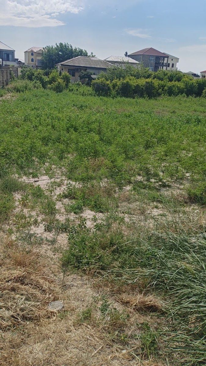 Satılır torpaq 12 sot — Torpaq, Bakı (5)