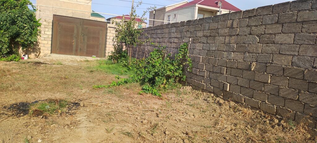 2 sot, Tikinti, Mülkiyyətçi, Kupça (Çıxarış) — Torpaq, Digah (2)