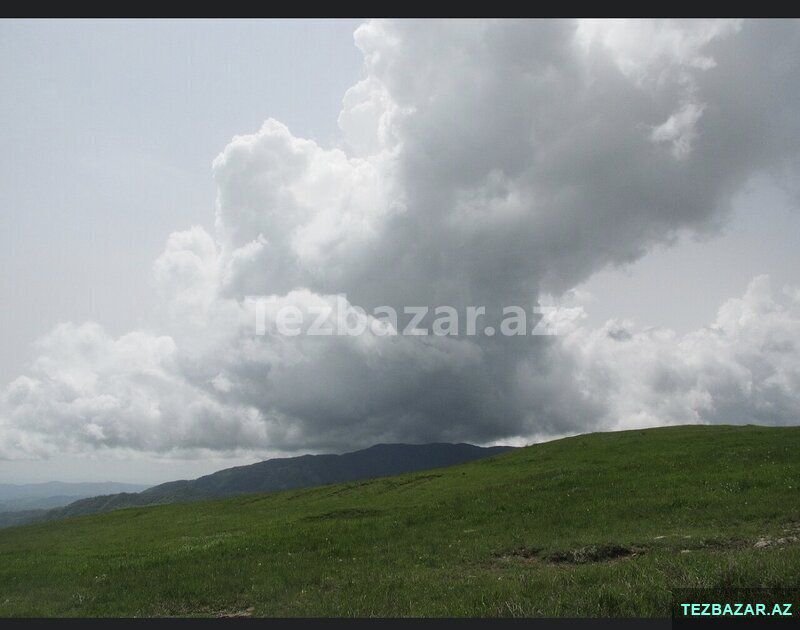 Şamaxıda Torpaq — Torpaq, Şamaxı (3)