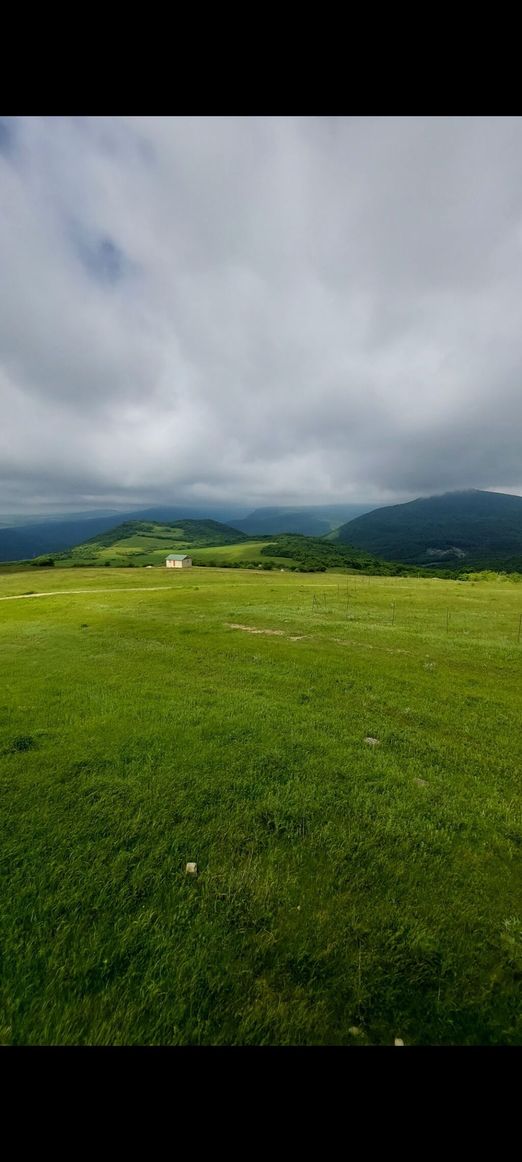11000 sot, Tikinti, Maklerlər narahat etməsin, Kupça (Çıxarış) — Torpaq, Şamaxı