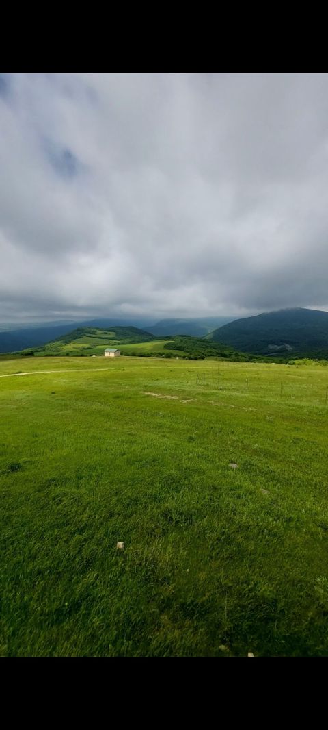 11000 sot, Tikinti, Maklerlər narahat etməsin, Kupça (Çıxarış) — Mübariz