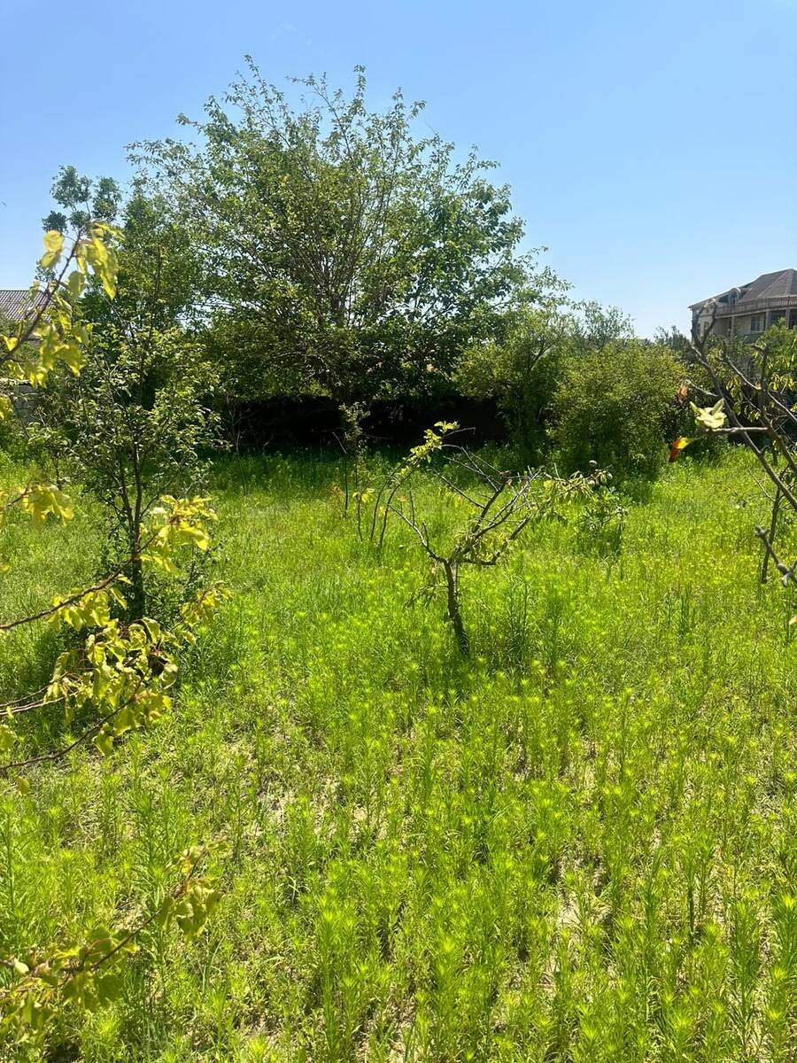 2.5 sot torpaq sahəsi, Novxanı bağları — Torpaq, Bakı (6)