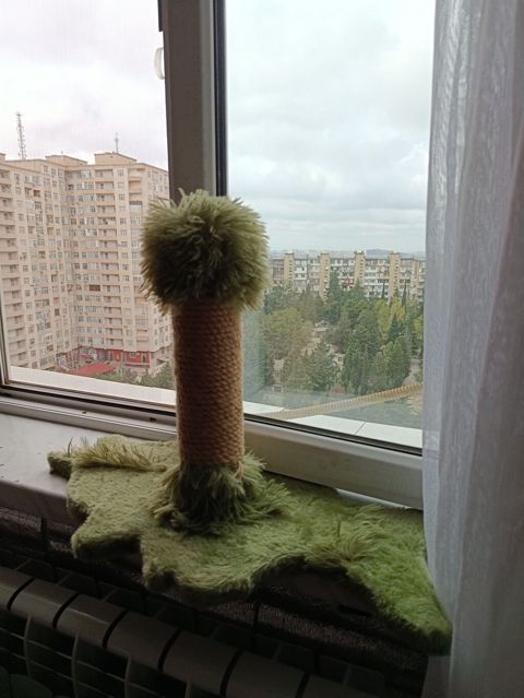 Pişik üçün dırmaşma və dırnaq itiləmə dirəyi - Model: kompakt — Bakı