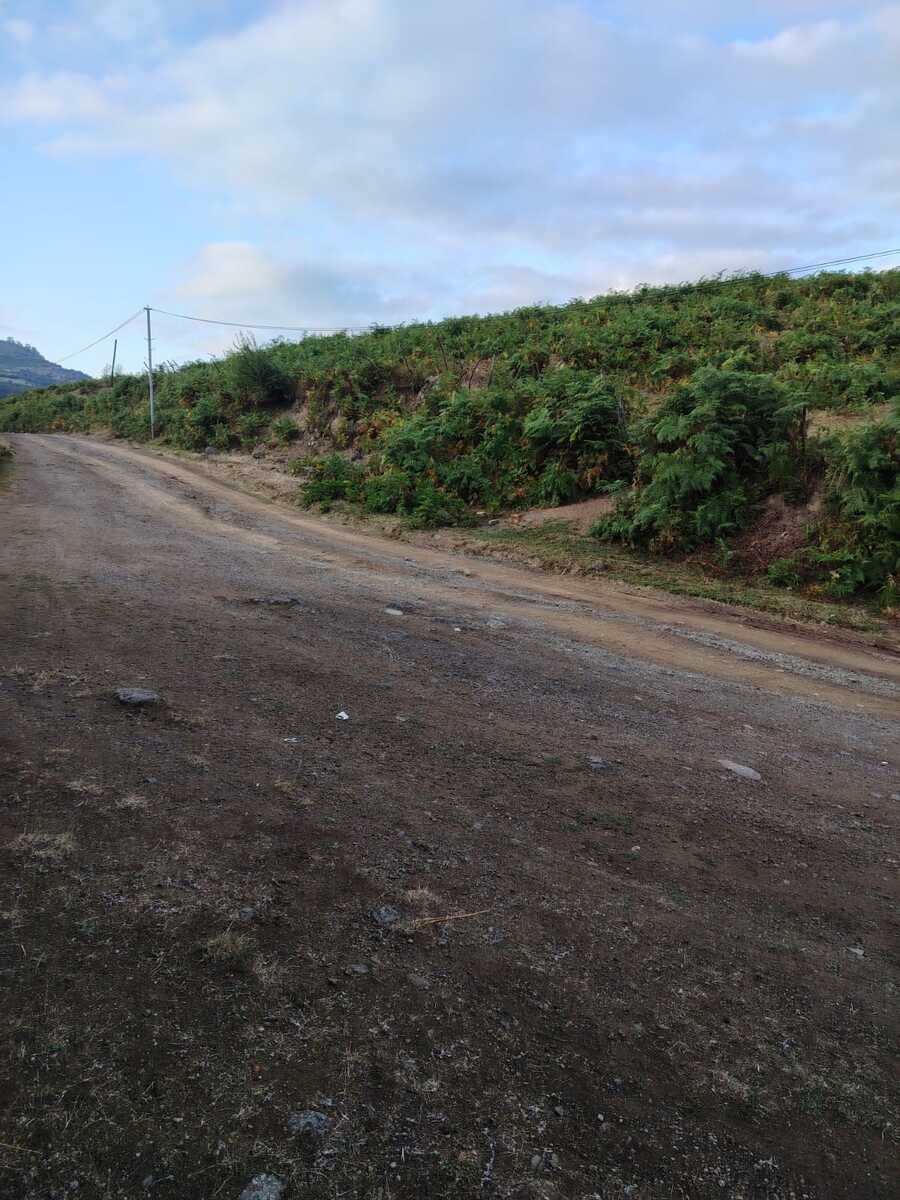 Satılır torpaq 4 sot — Torpaq, Lerik (2)