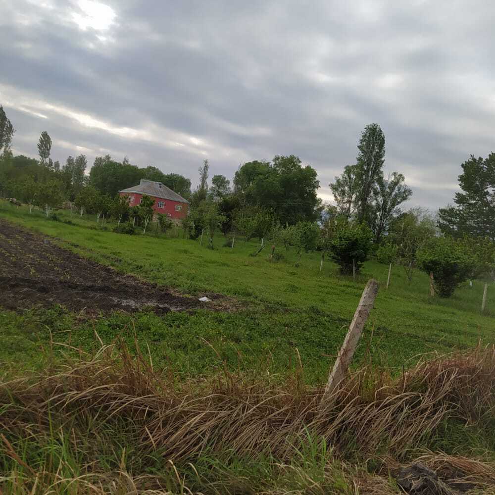 12 sot torpaq sahəsi, Qusar r — Torpaq, Qusar (4)