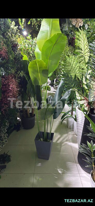 Green Layn — Ev malları, Bakı (10)