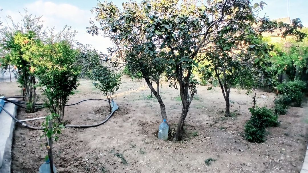 Bağ evi, 28 may m — Ev, villa, Bakı (12)