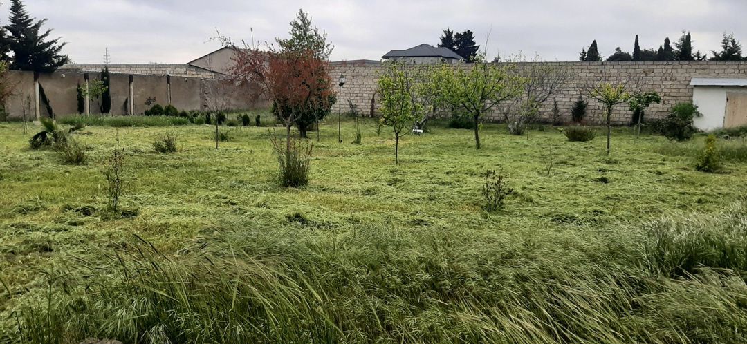 Satılır 7 otaqlı həyət evi/bağ evi 360 m² — Ev, villa, Bakı (2)