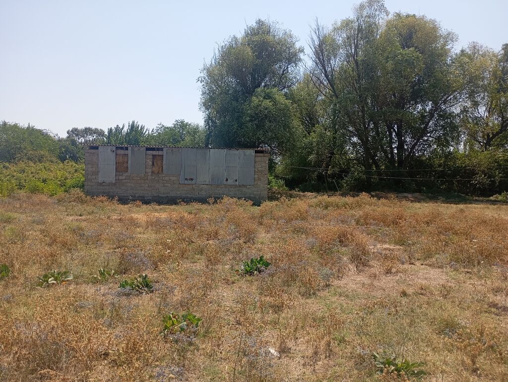 Kənd təsərrüfatı, Kommunal xətlər qoşulmayıb — Torpaq, Şabran (3)