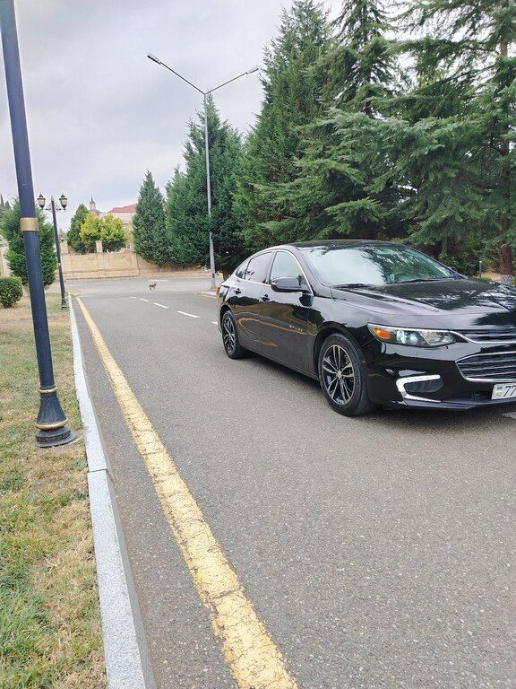 Chevrolet Malibu, 1.5 L, 2016 il, 183 000 km — Avtomobillər, Göygöl (3)
