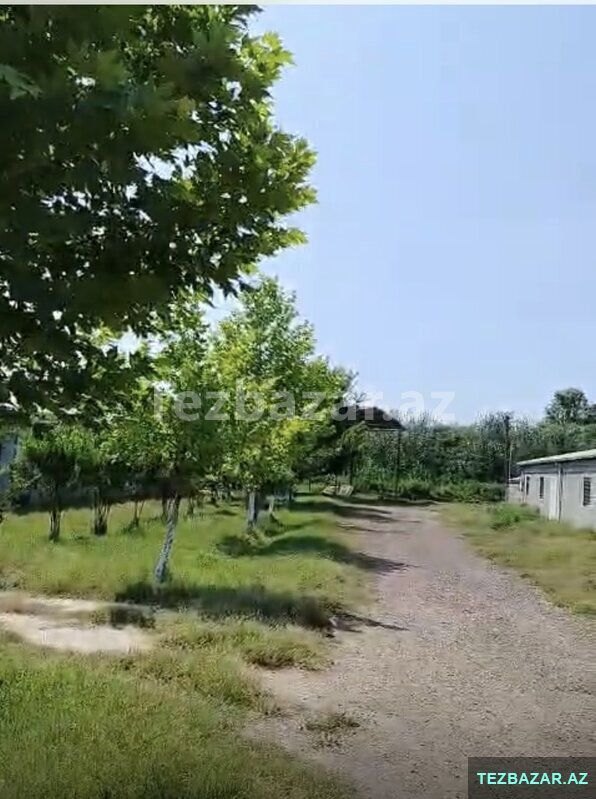 Salyanda Ferma Satılır — Torpaq, Salyan (8)
