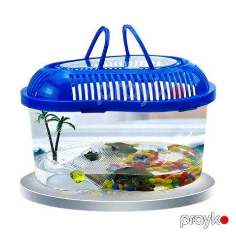 Tısbağalar üçün terrarium A01, plastik, şəffaf — Bakı
