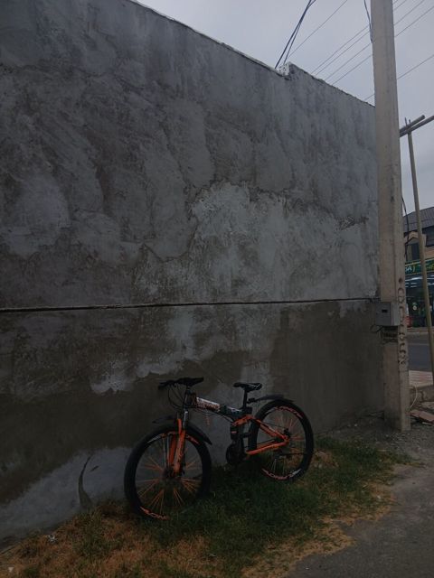 Velosiped — Tərtər