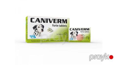 Həblər Caniverm, itlər və pişiklər üçün, helmintlərə qarşı, 1 əd, 10 kq — Bakı