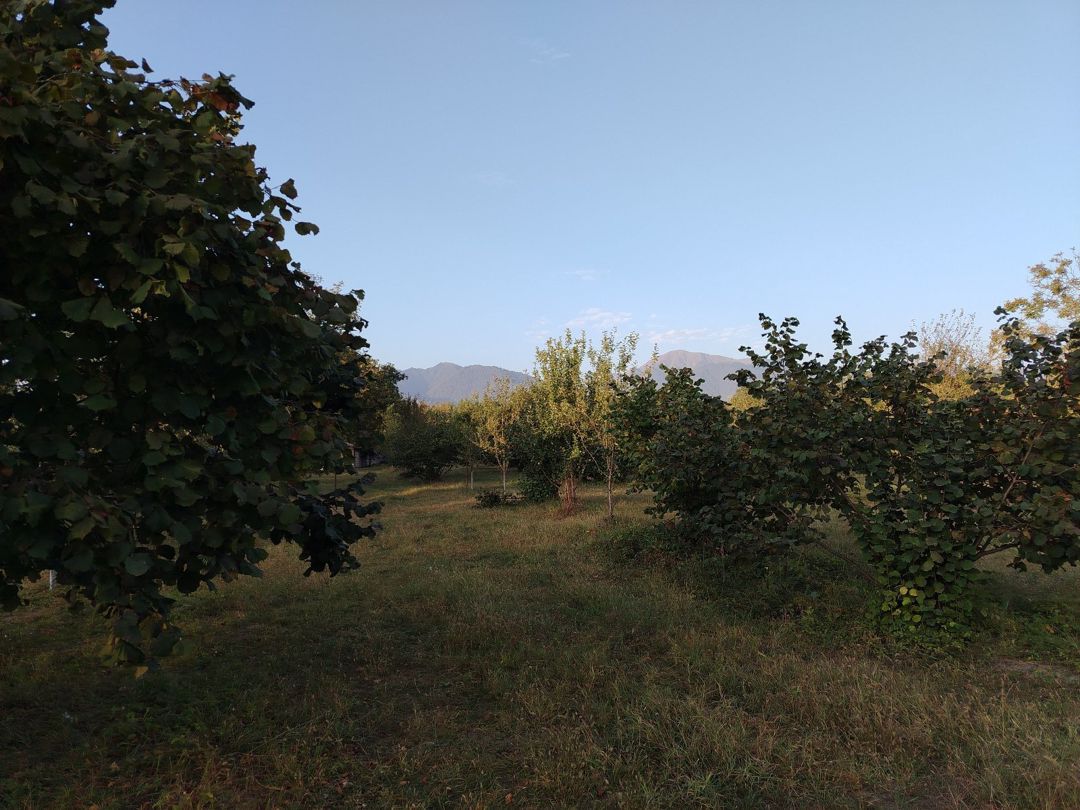 29 sot torpaq sahəsi, Qəbələ ş — Torpaq, Qəbələ (3)