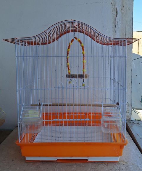 Tutuquşu qəfəsi — Bakı