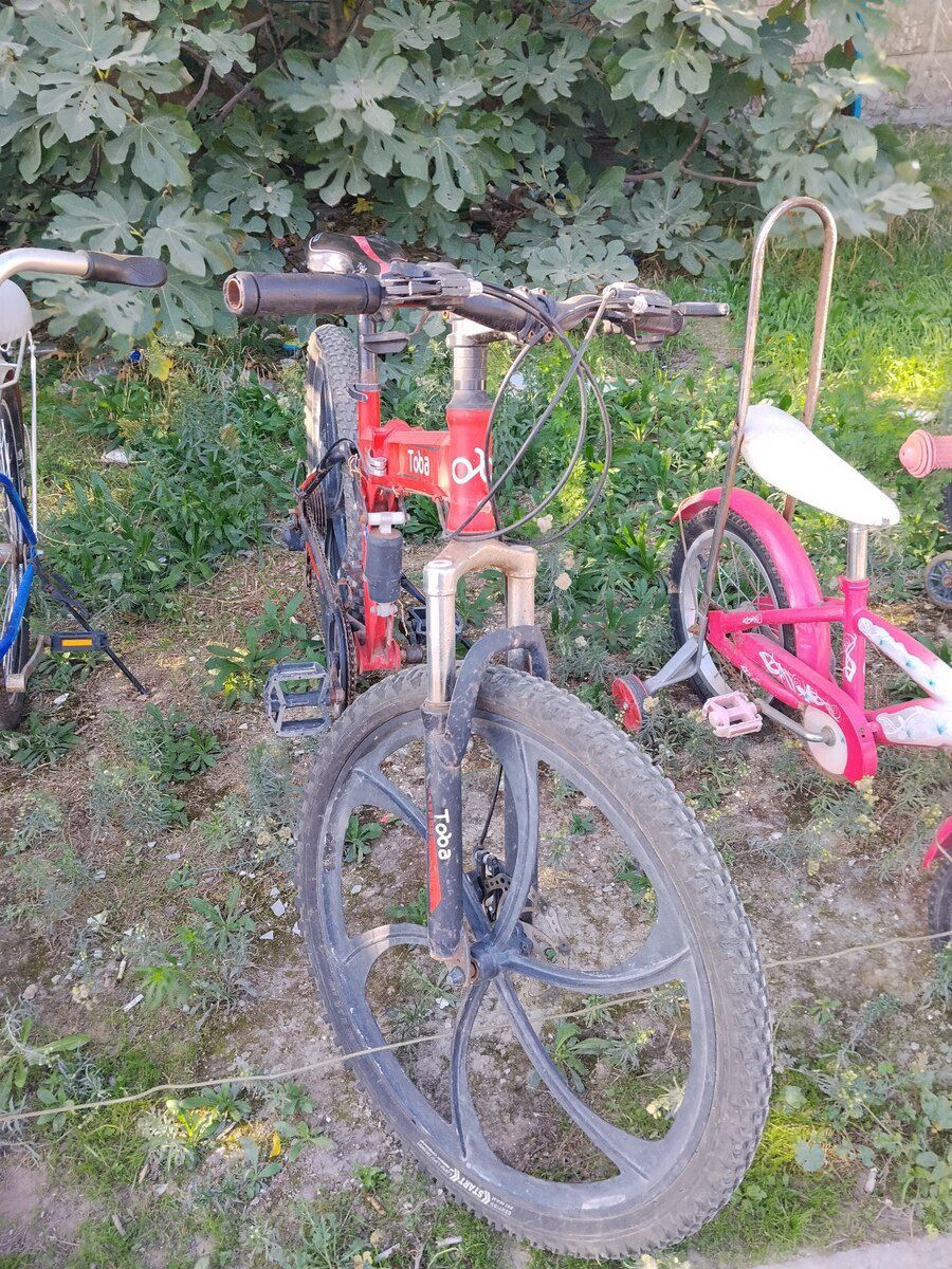 Velosiped — Velosipedlər, Bakı