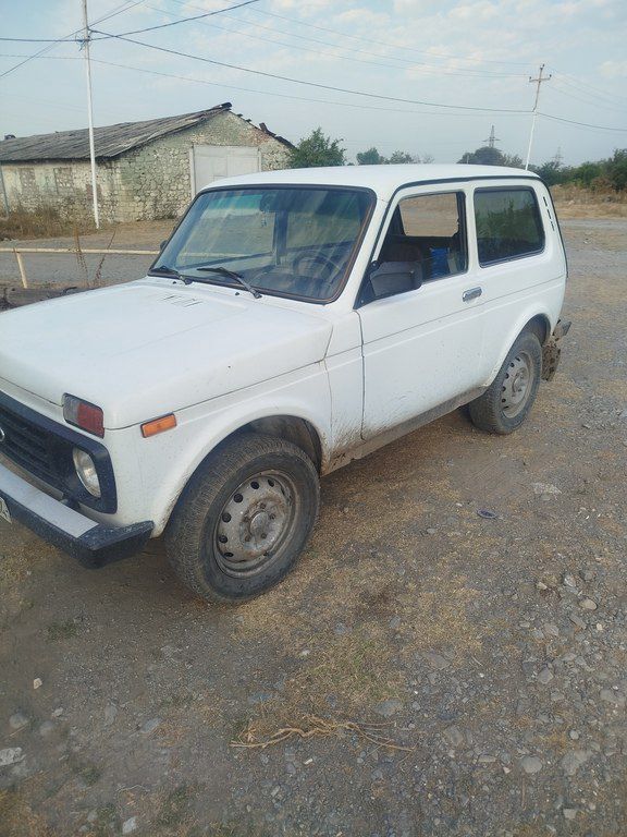 Lada (VAZ) Niva, 1.6 L, 1982 il, 258 880 km 62-BH-834 — Avtomobillər, Qax (4)