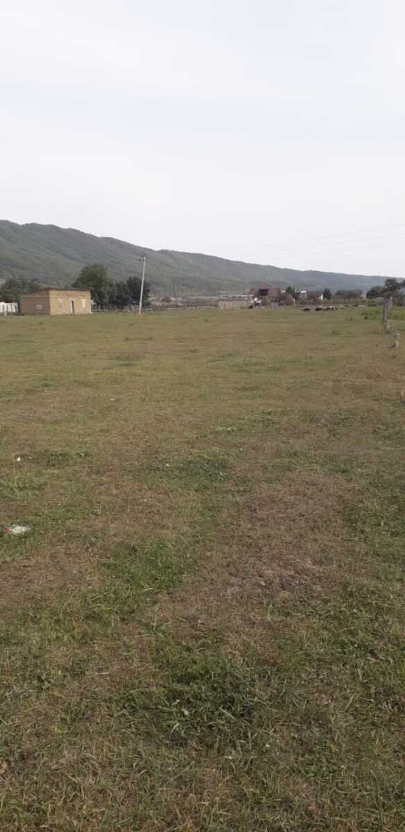 30 sot torpaq sahəsi, Qusar Əniq — Torpaq, Qusar (5)