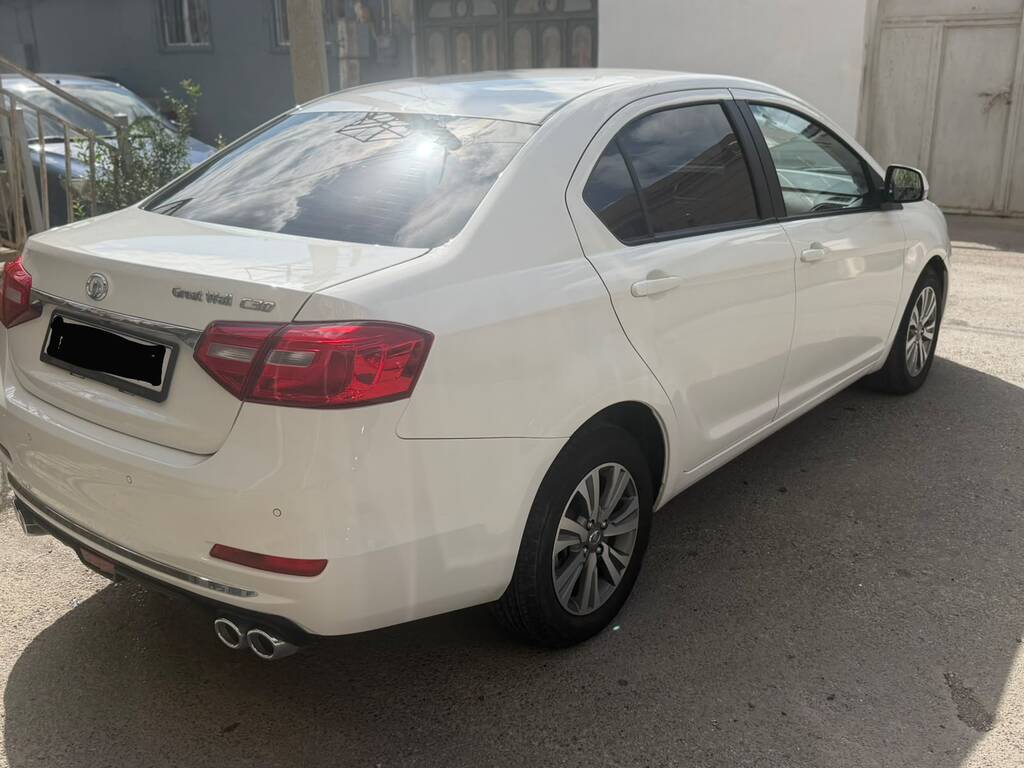 GWM (Great Wall Motor) Voleex C30, 1.5 L, 2020 il, 108 000 km — Avtomobillər, Bakı (4)