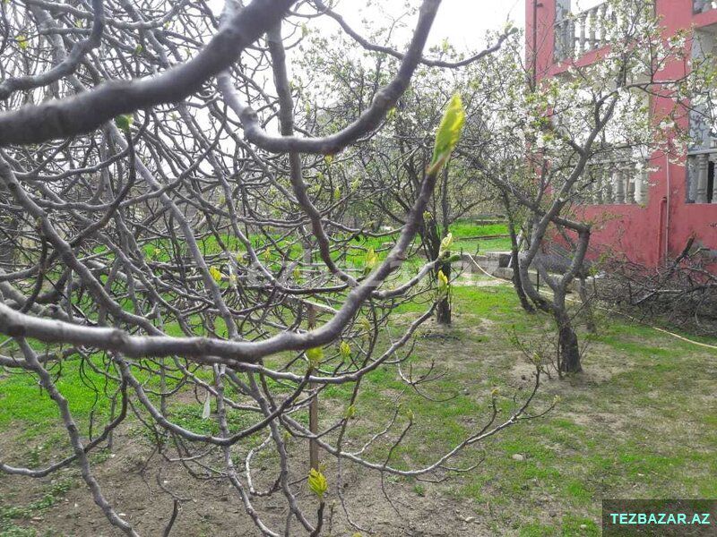Gözəl mənzərəli bağ evi satılır — Ev, villa, Bakı (2)