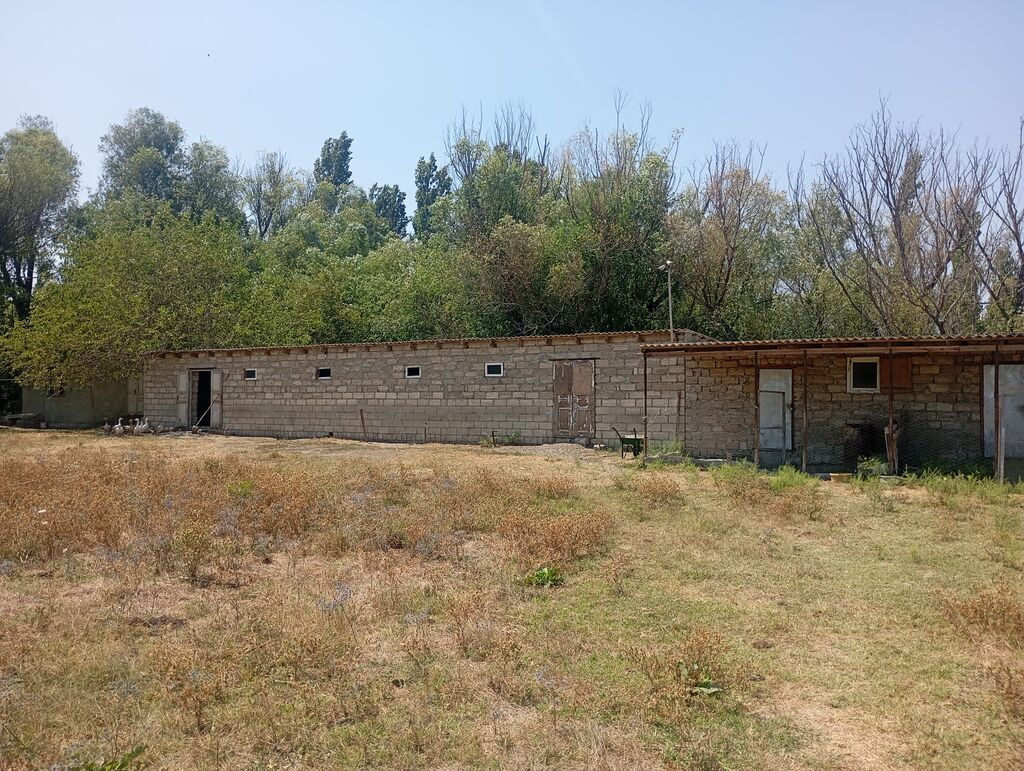 Kənd təsərrüfatı, Kommunal xətlər qoşulmayıb — Torpaq, Şabran (4)