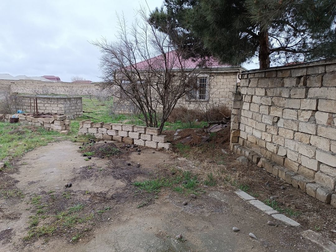 Satılır torpaq 21 sot — Torpaq, Bakı (4)
