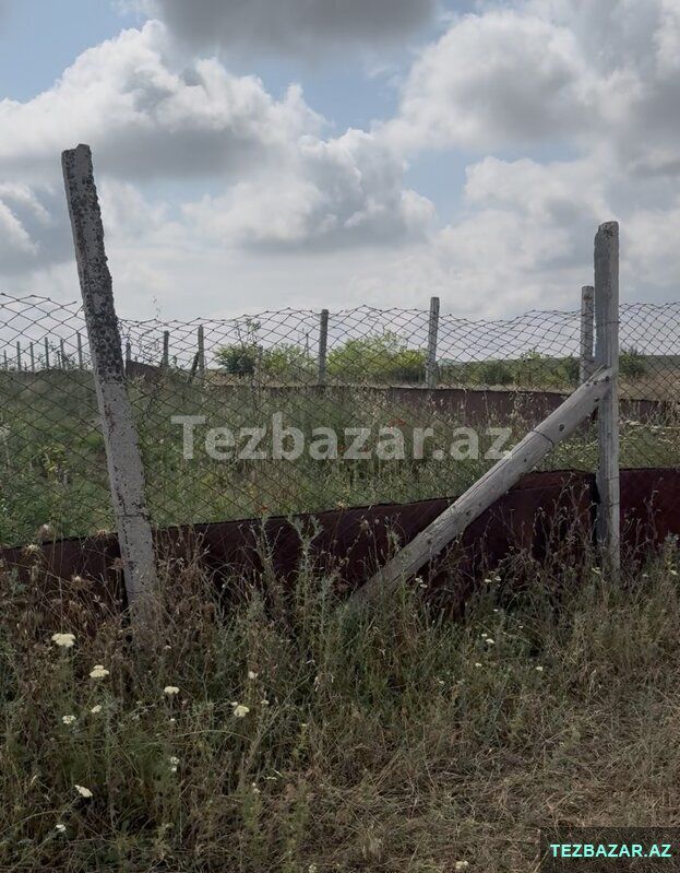 Sahibindən kupçalı ucuz torpaq satışı — Torpaq, Şamaxı (5)