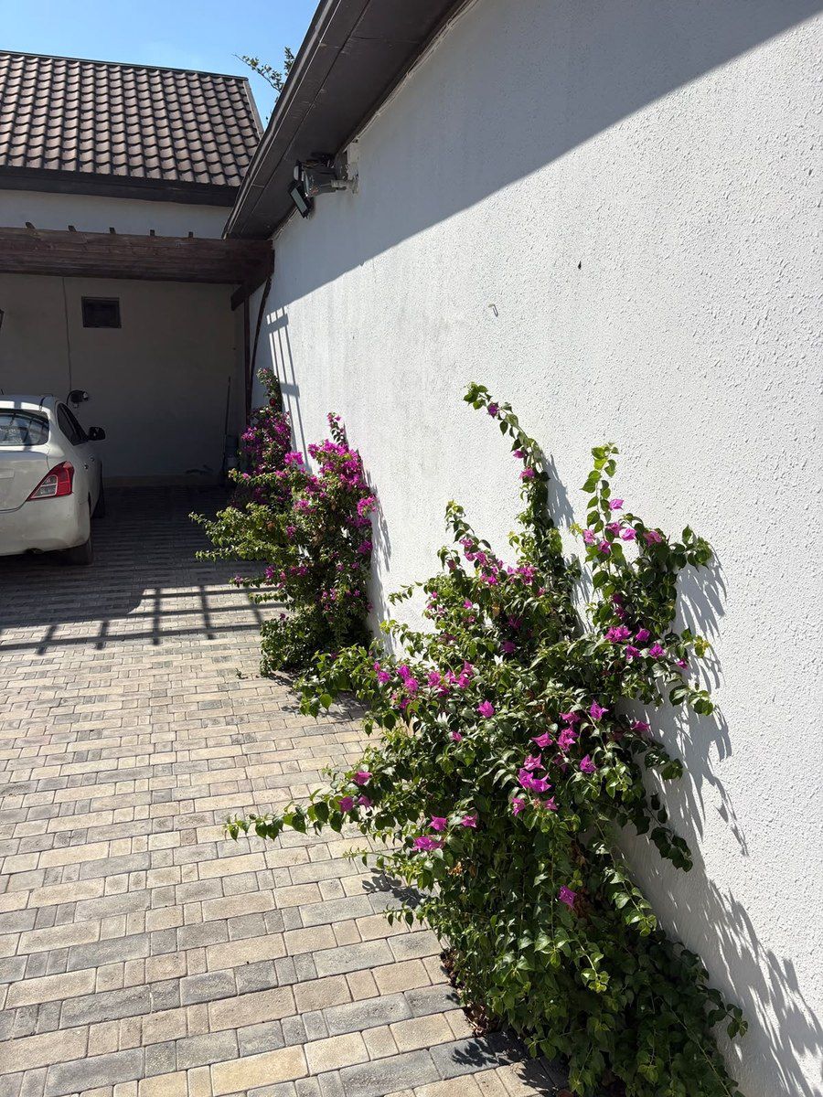 Bağ evi kirayə verilir, Şüvəlan qəs — Ev, villa, Bakı (3)
