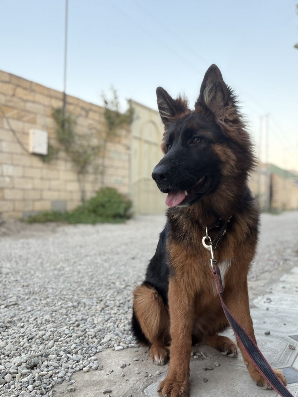 Salam kirayə ev axtarıram yeni tikiliyə üstünlük verilir Sumqayıtda — Mənzil, Sumqayıt (3)