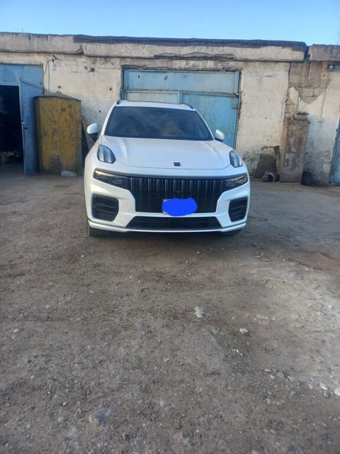 Lynk & Co 09, 2.0 L, 2024 il, 38 009 km — Bakı