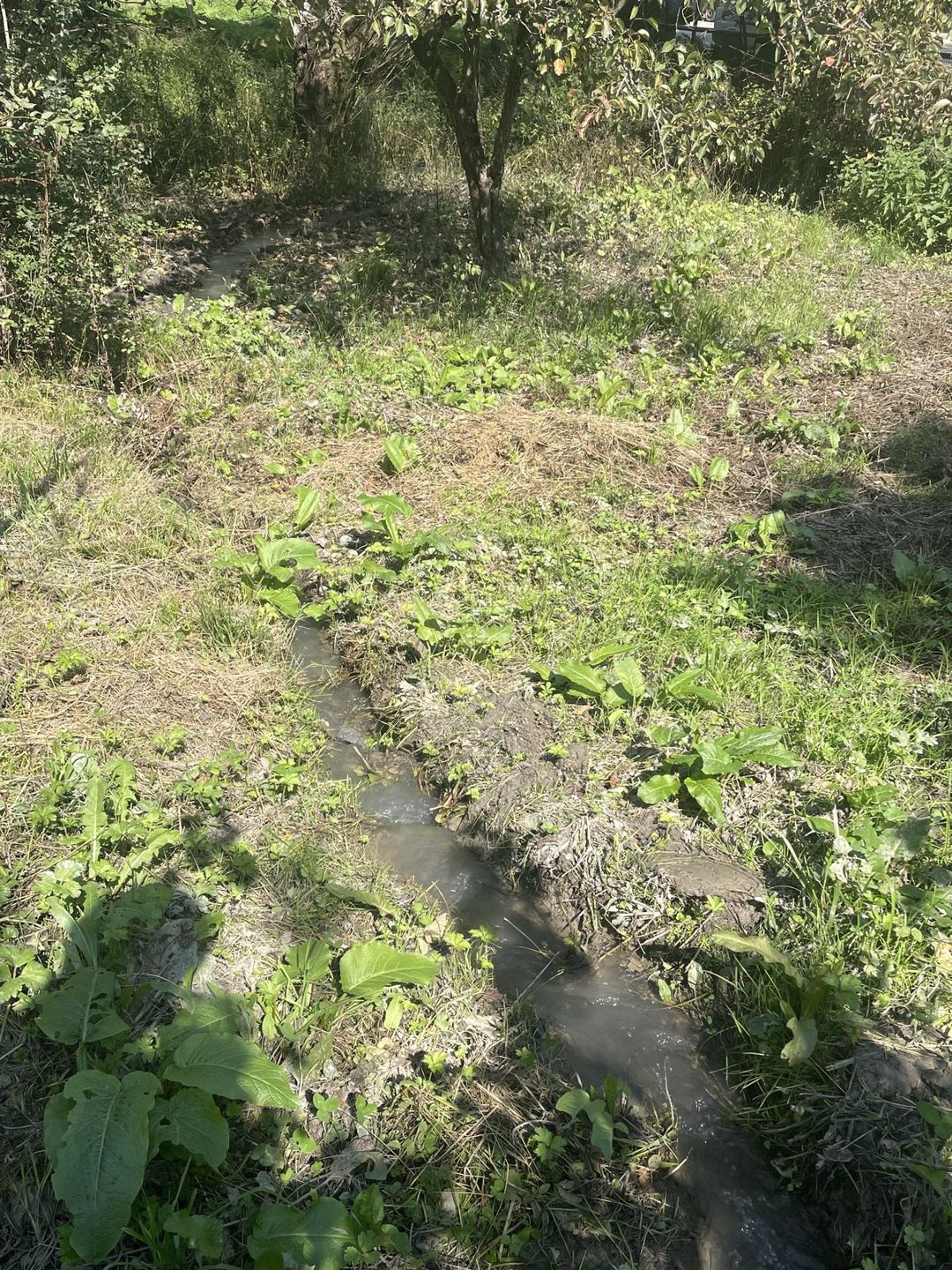 12 sot torpaq sahəsi, Avaran kəndi — Torpaq, Qusar (7)
