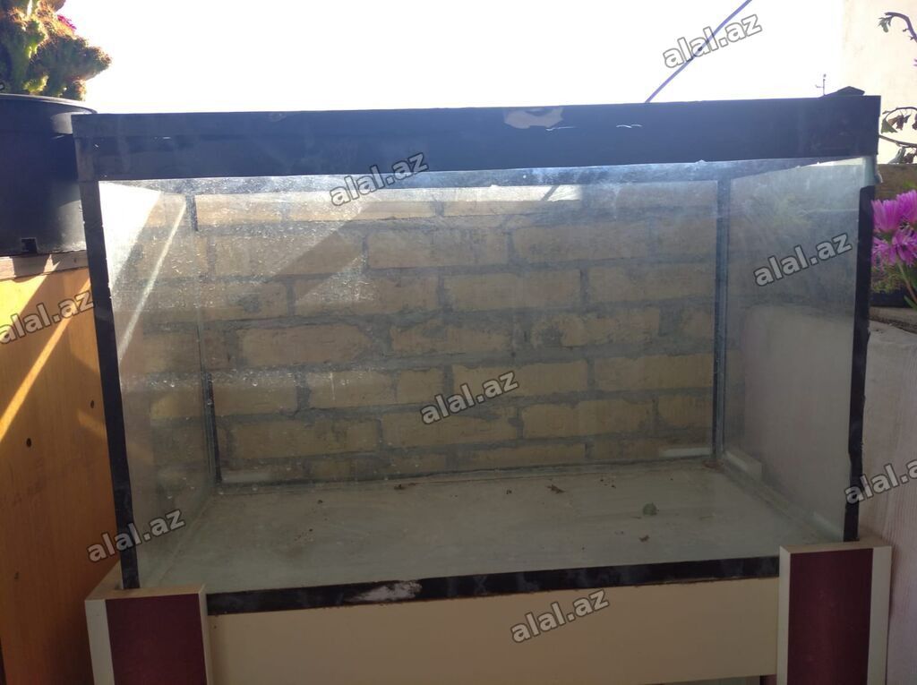 Dördbucaq akvarium, Boş, 90 l, Ünvandan götürmə — Heyvanlar, Bakı (4)