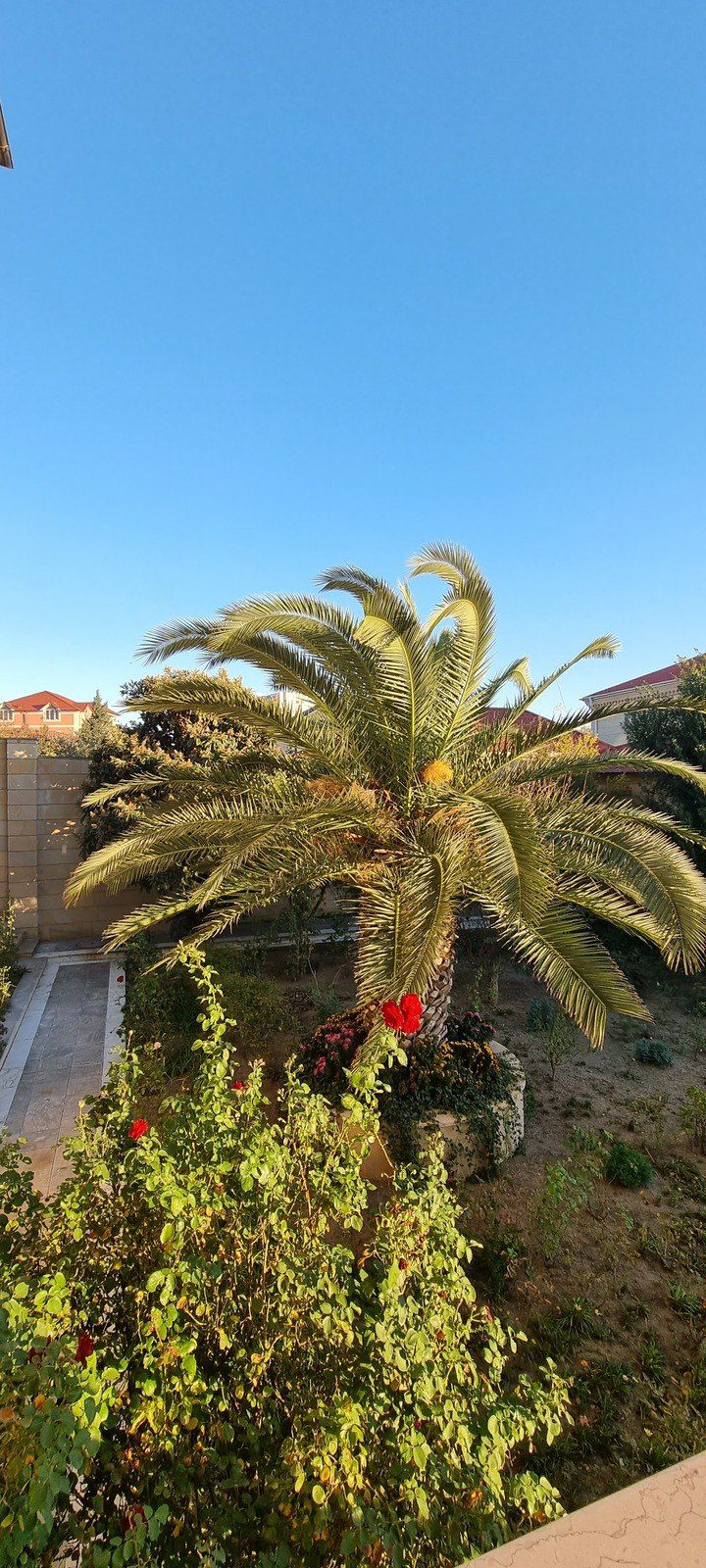Satılır 10 otaqlı həyət evi/bağ evi 800 m² — Ev, villa, Bakı (12)