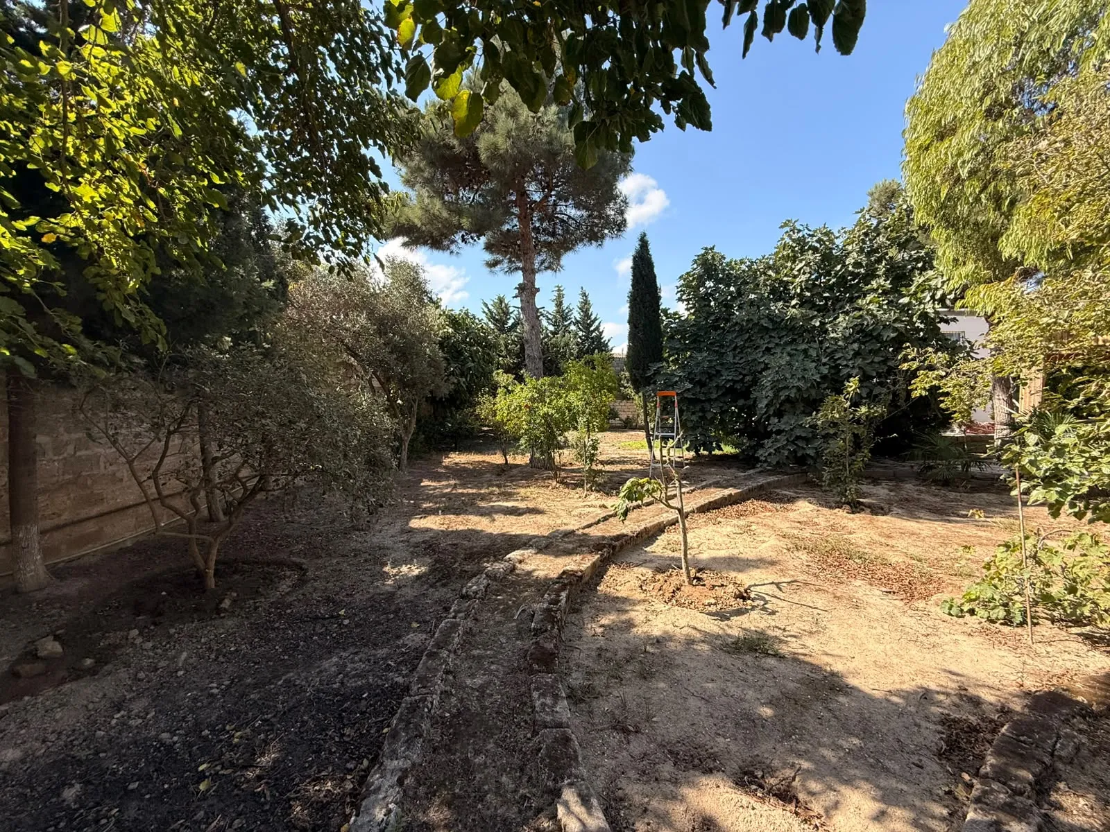 Mərdəkan, Torpaq satılır - 13 sot — Torpaq, Bakı (4)