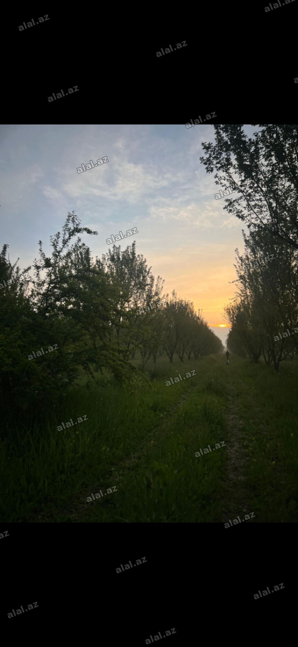 200 sot, Mülkiyyətçi, Kupça (Çıxarış) — Torpaq, Göyçay (2)