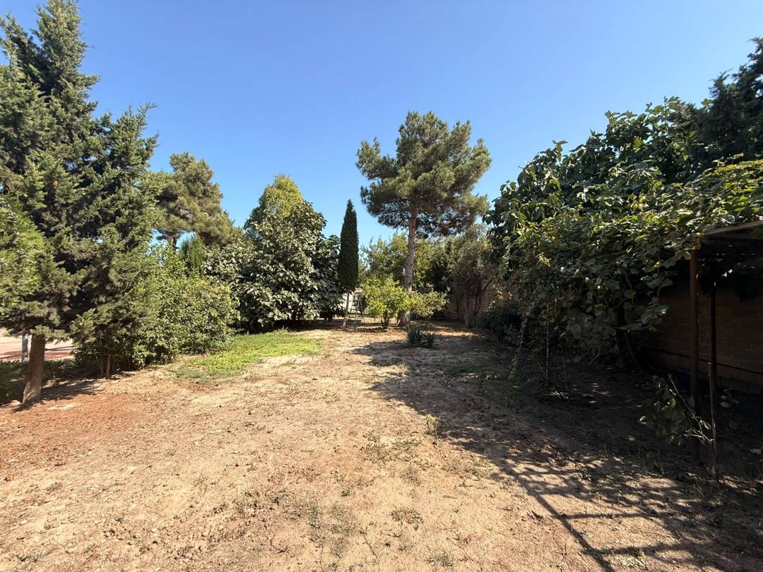 Satılır torpaq 13 sot — Torpaq, Bakı (9)