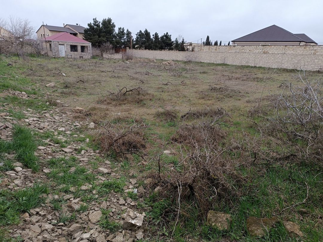 Satılır torpaq 21 sot — Torpaq, Bakı (10)