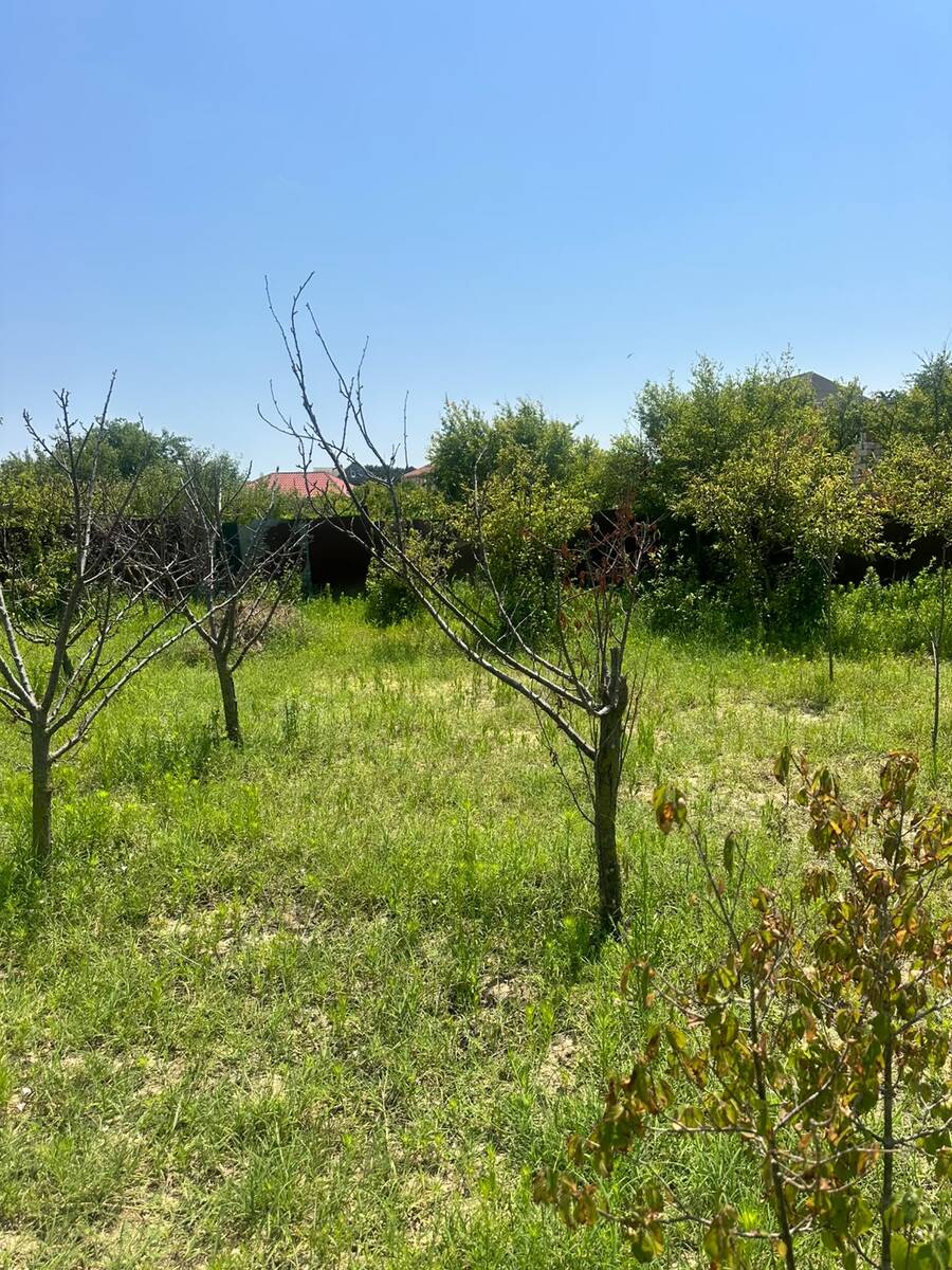 2.5 sot torpaq sahəsi, Novxanı bağları — Torpaq, Bakı (7)
