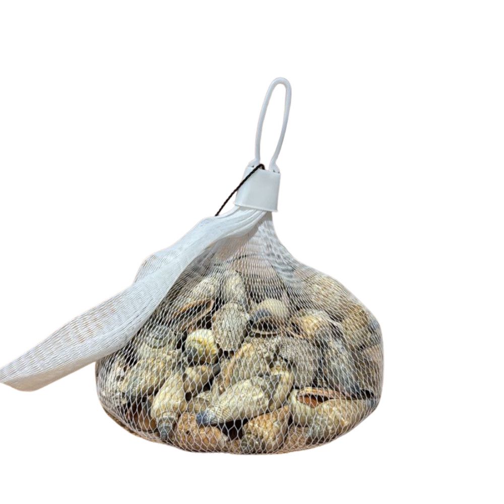 Akvarium üçün balıqqulağı dekoru, rəngbərəng — Mallar, Bakı