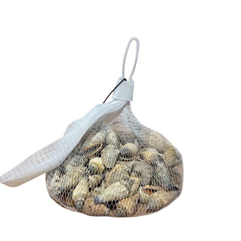 Akvarium üçün balıqqulağı dekoru, rəngbərəng — Bakı