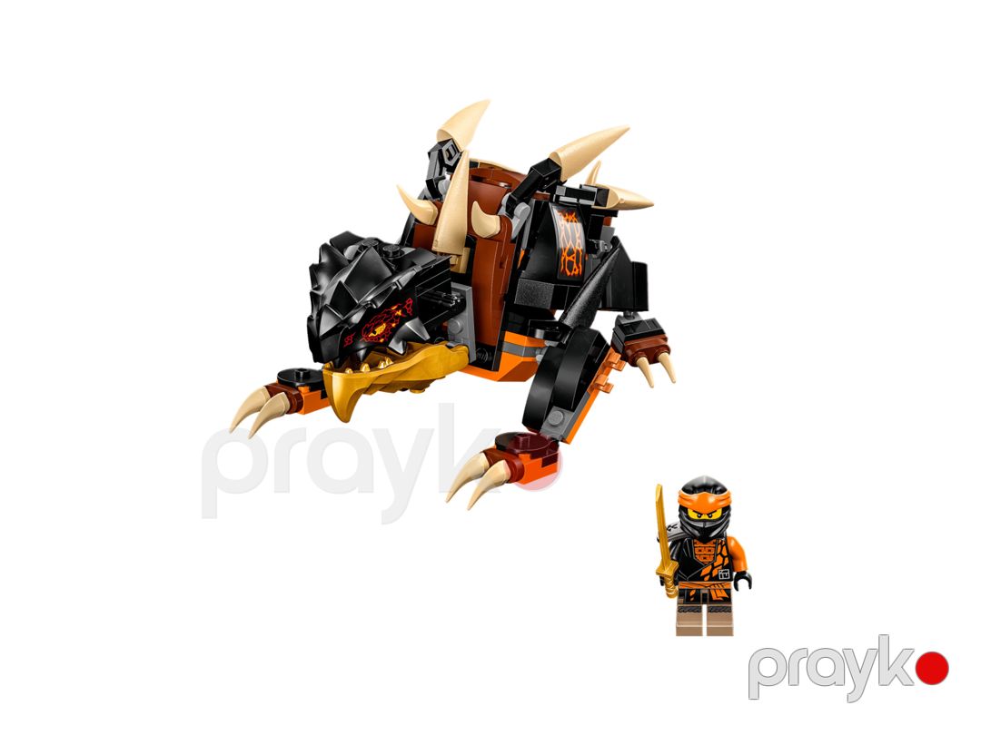 Konstruktor Lego Ninjago Cole’s Earth Dragon EVO 71782 — Mallar, Bakı (3)