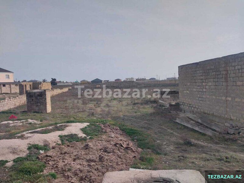 Kupçalı 25 sot torpaq — Torpaq, Bakı (2)