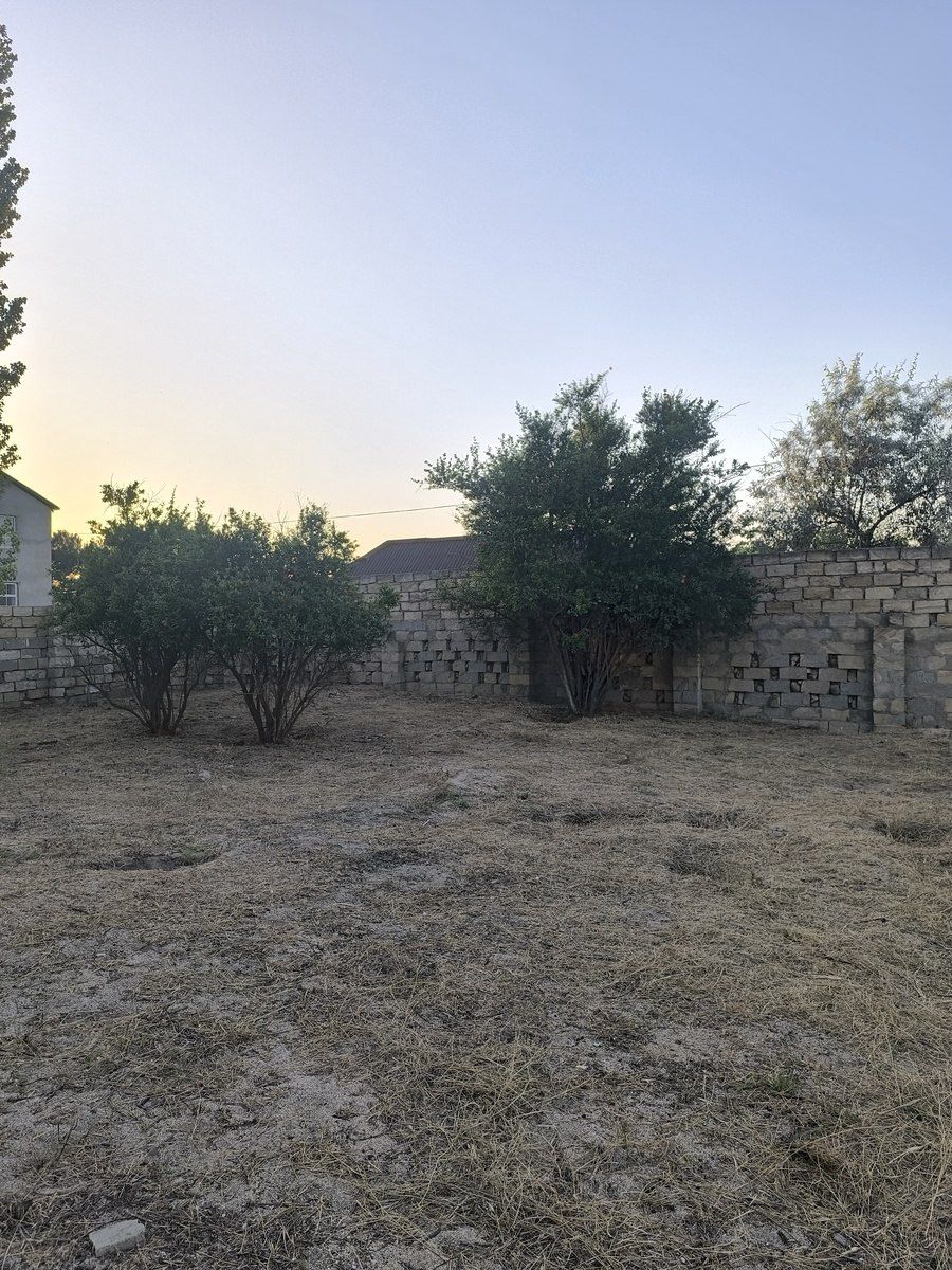 Satılır torpaq 3 sot — Torpaq, Bakı (4)
